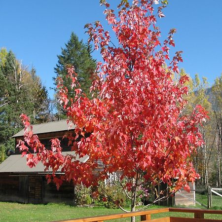 Birch Meadows Lodge B&B Fernie Bagian luar foto