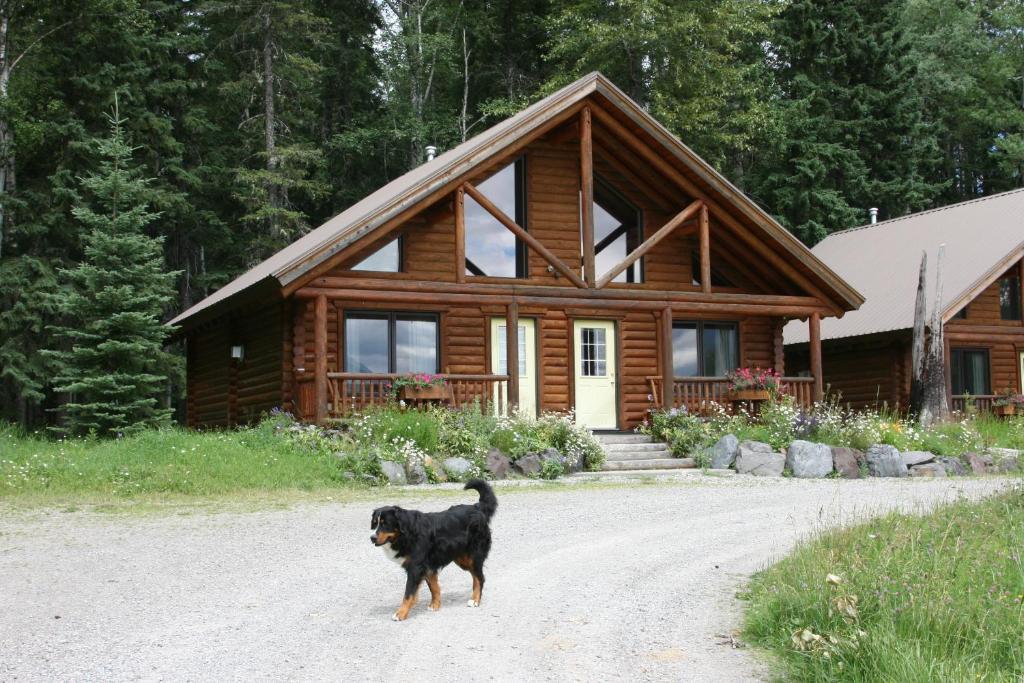 Birch Meadows Lodge B&B Fernie Bagian luar foto